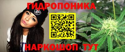 spice Старая Купавна