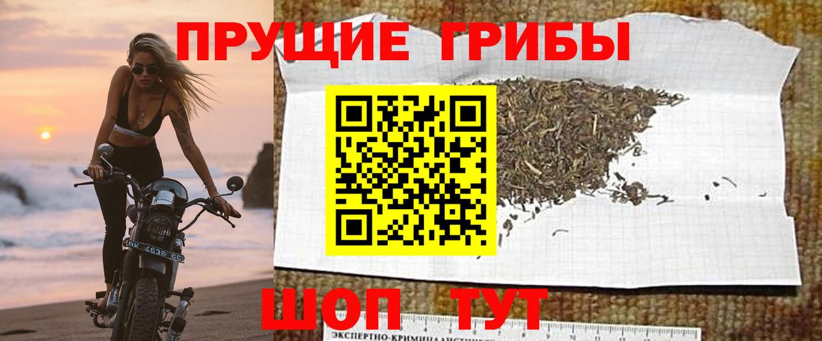 Псилоцибиновые грибы MAGIC MUSHROOMS Протвино